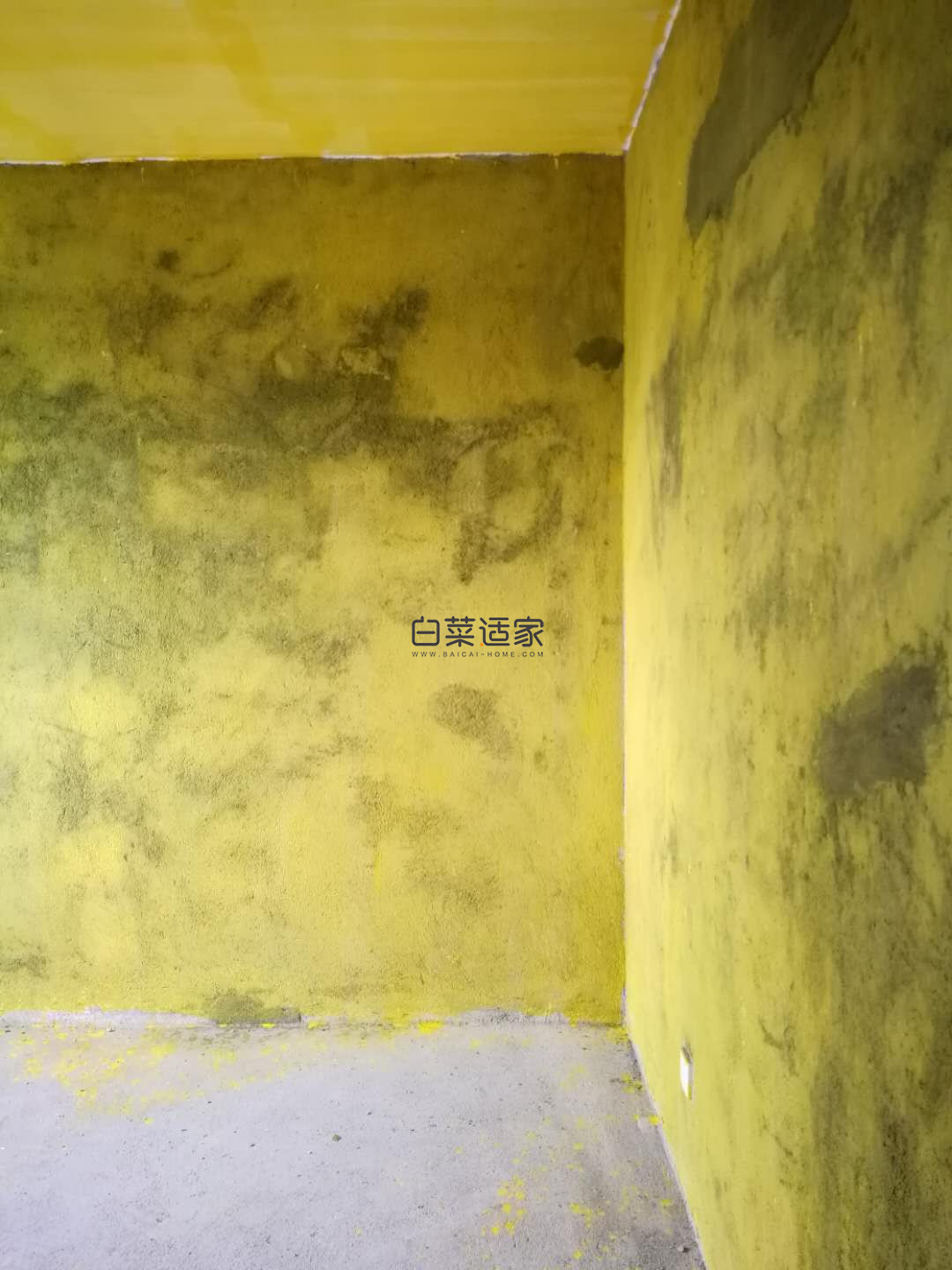 172414vy3yenyz2ozy7epv.jpg