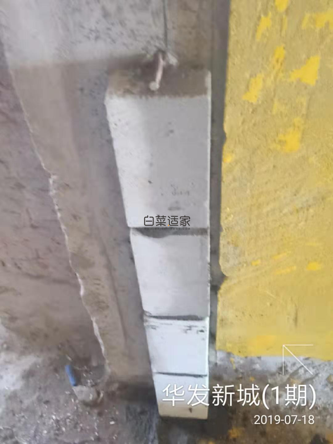 111303t8zad1ppnvzagwnx.jpg