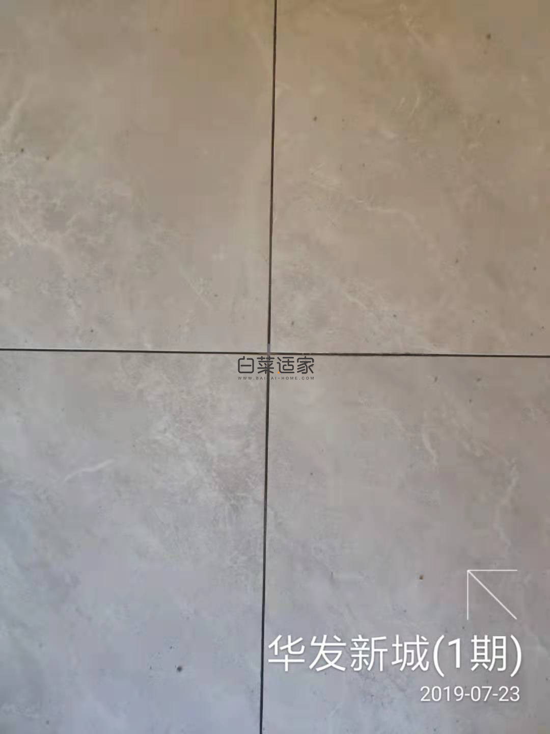 120258pugasj7jrangsaa7.jpg