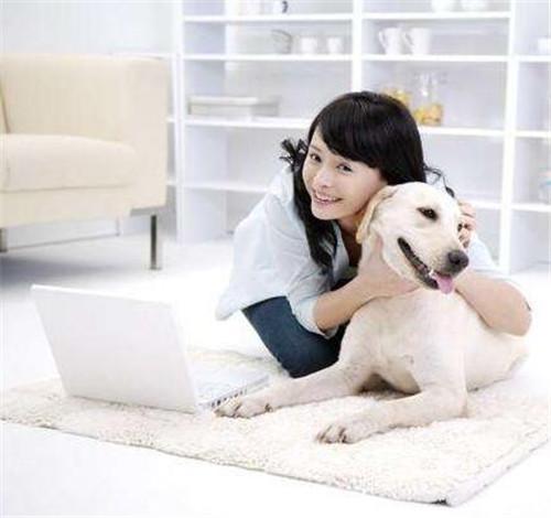 家里养狗装修要注意什么 为什么养狗家里装木地板不好